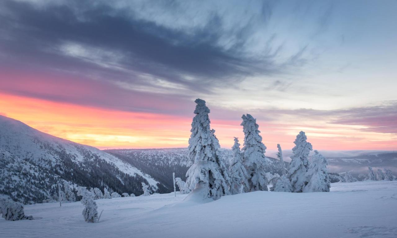 Appartamento Cihlářka 303 Pec pod Snezkou Esterno foto