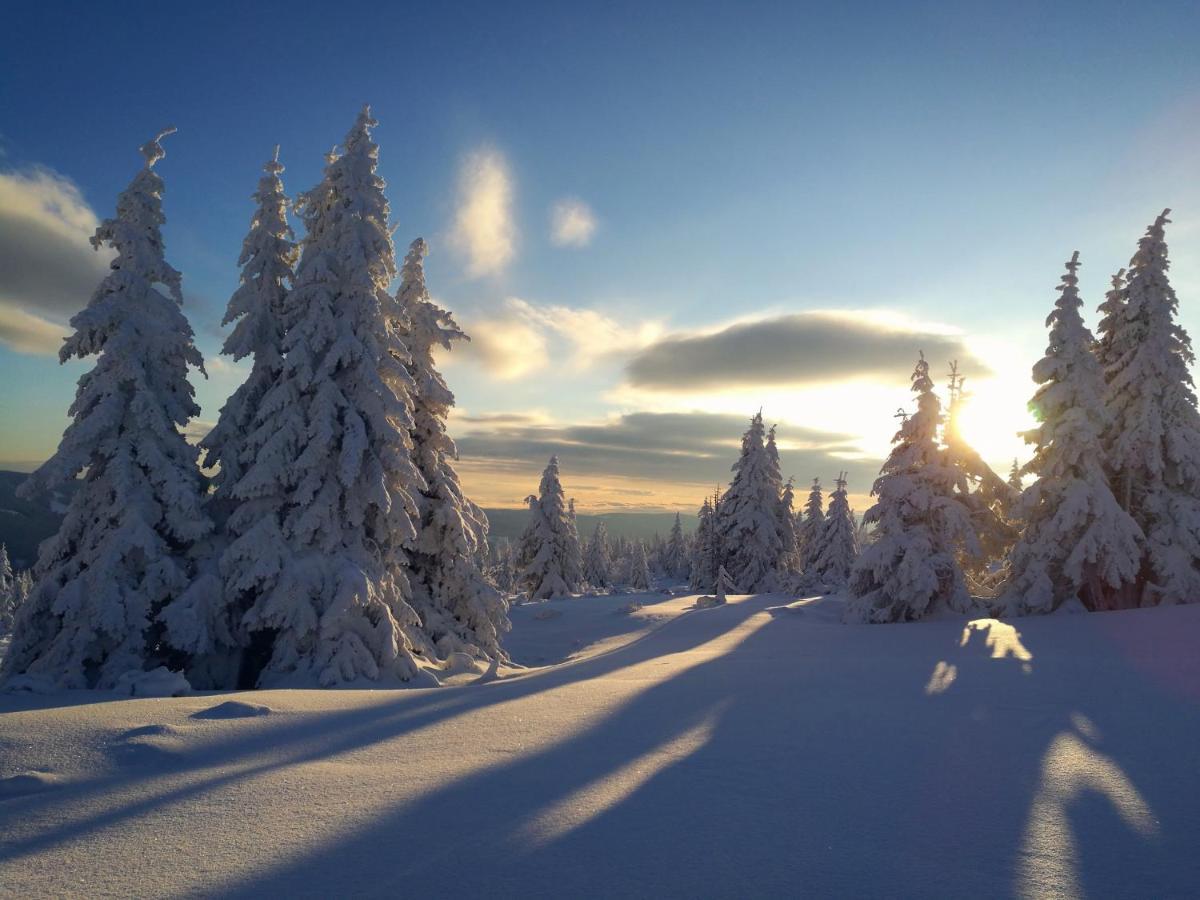 Appartamento Cihlářka 303 Pec pod Snezkou Esterno foto